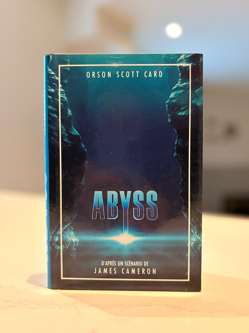 Une photo de la couverture du livre Abyss.