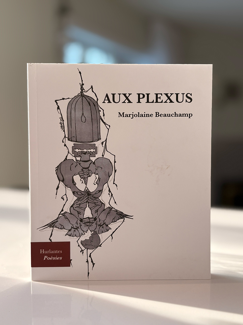 Page couverture du livre Au plexus N.éd.