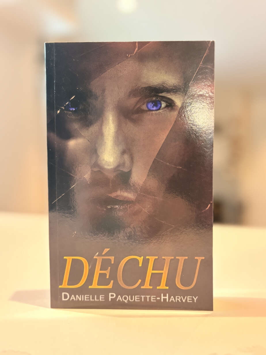 Photo de couverture du livre Déchu
