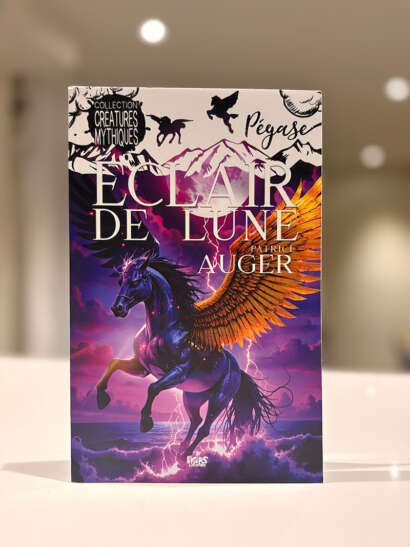Page couverture du livre Éclair de lune