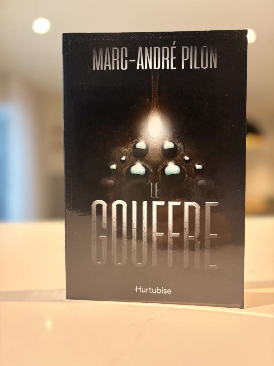 Page couverture du livre Le gouffre