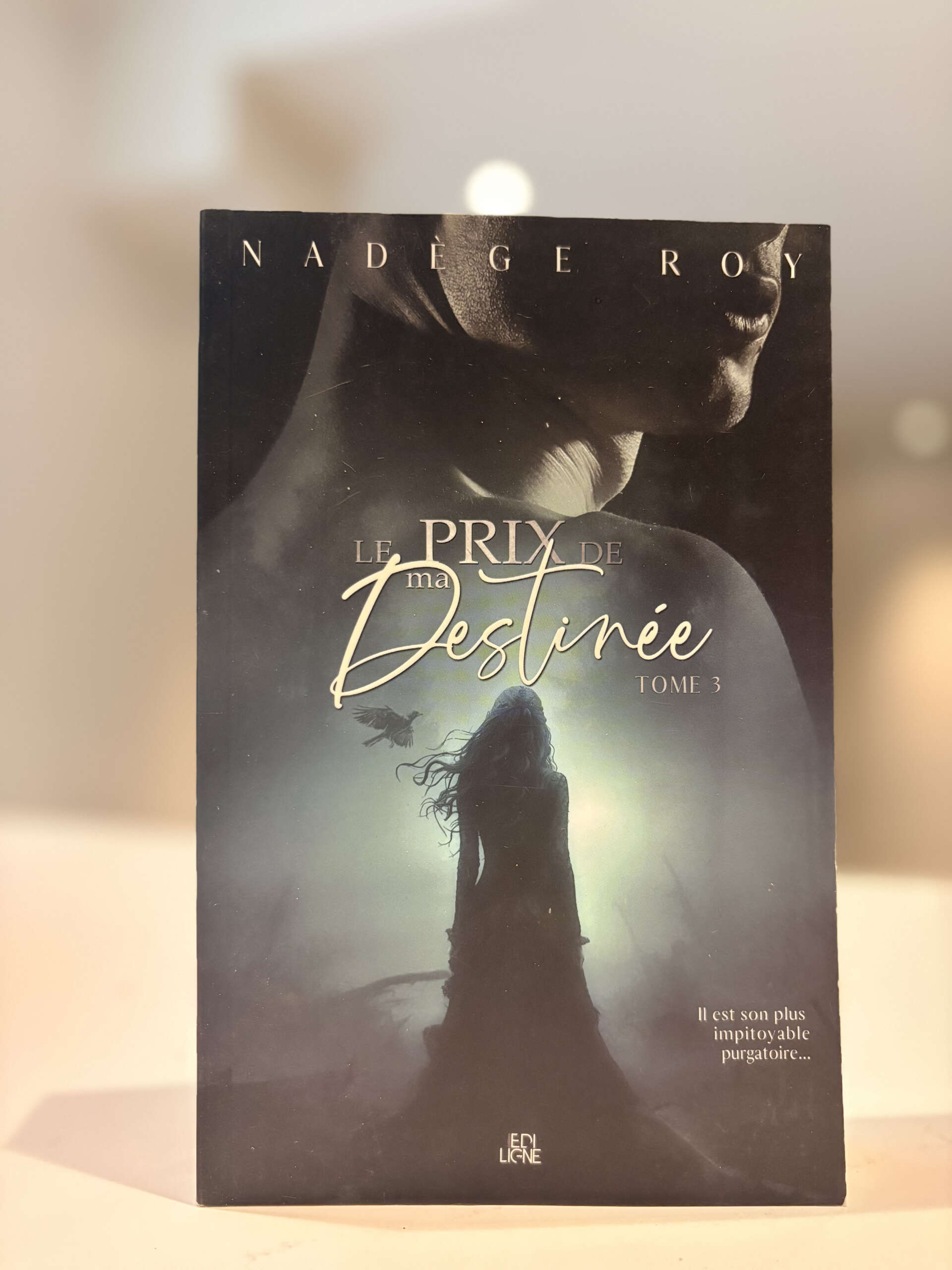 Page couverture du livre Le prix de ma destinée T03