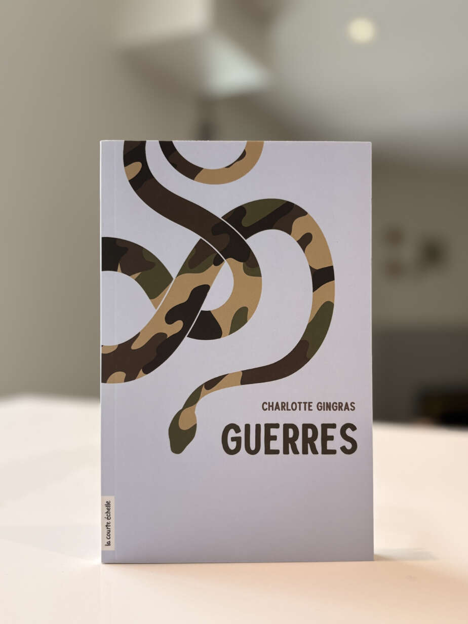 Page couverture du livre Guerres