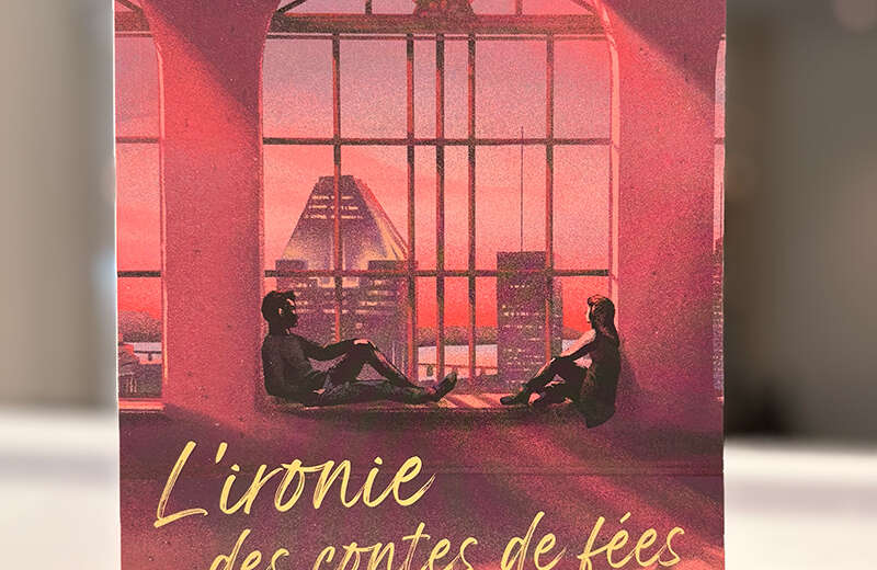 Page couverture du livre L'ironie des contes de fées