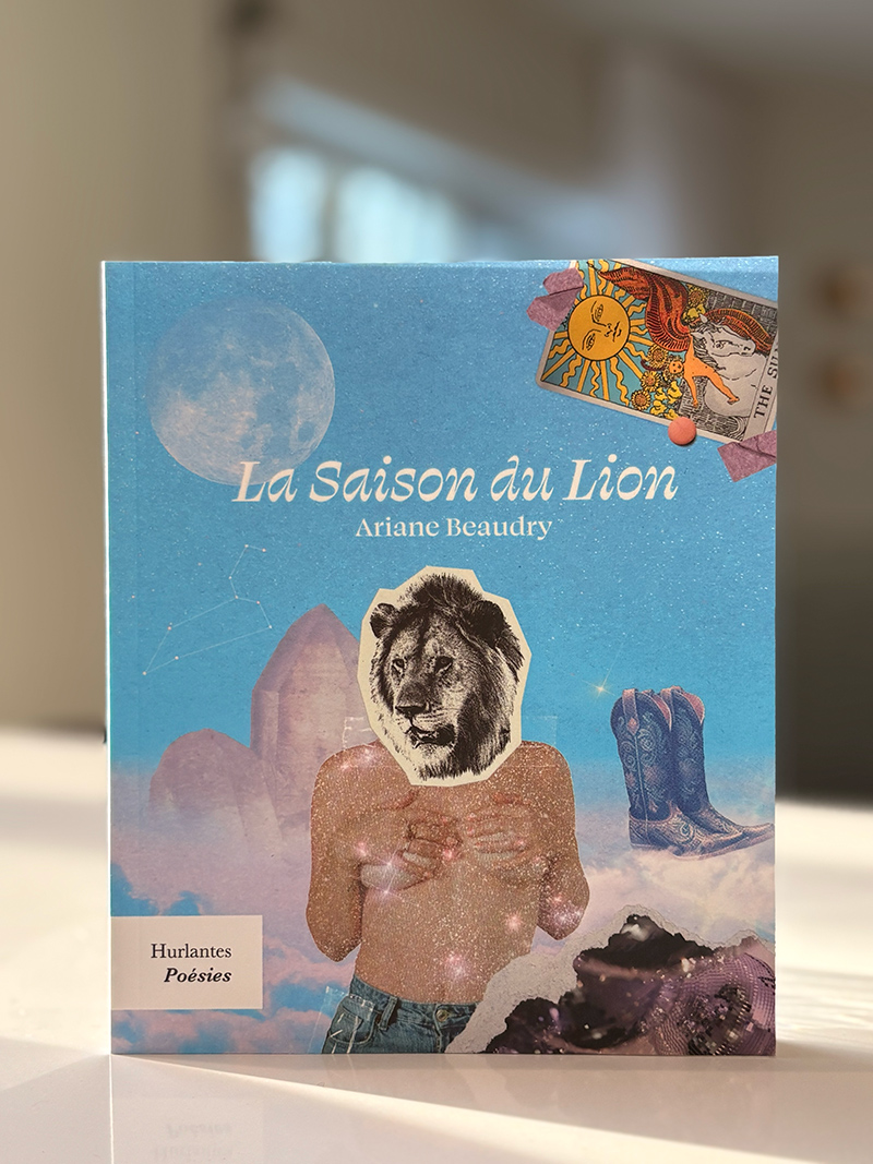 Photo de couverture du La saison du lion.
