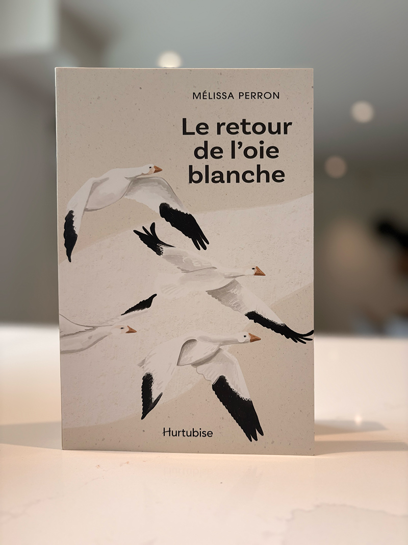 Page couverture du livre Le retour de l'oie blanche
