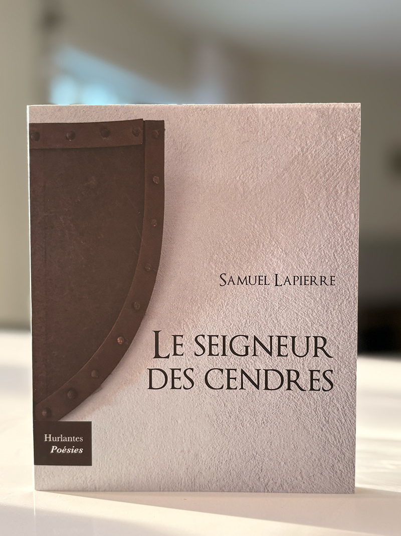 Page couverture du livre Le seigneur des cendres