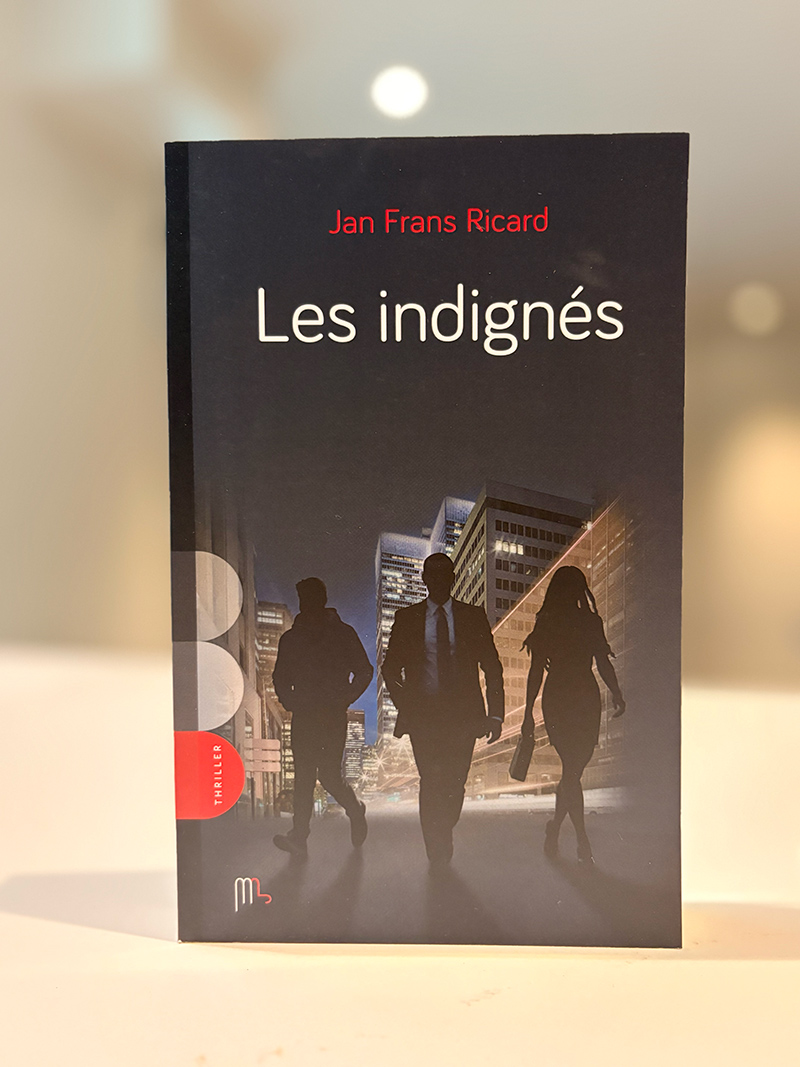 Photo de couverture du livre Les indignés.