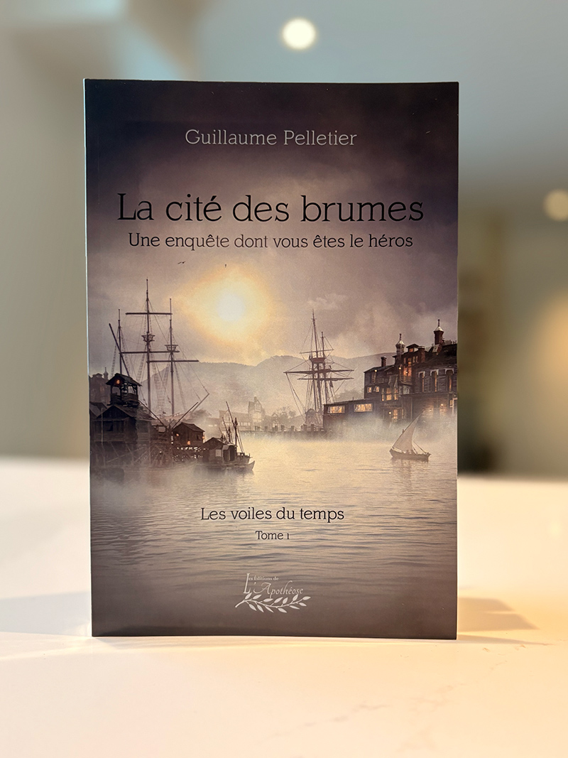 Photo de couverture du livre La cité des brumes.