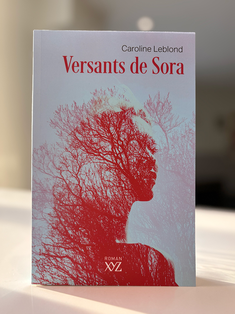 Page couverture du livre Versants de Sora