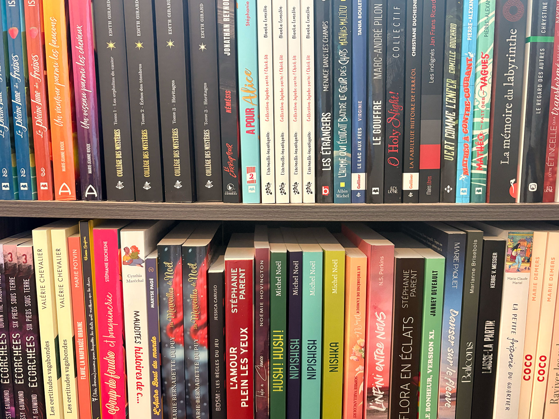 Une vue de proche de deux tablettes de bibliothèque, dans plusieurs teintes avec plusieurs grosseurs de livres.