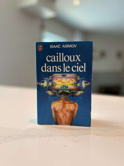 Page couverture du livre Cailloux dans le ciel
