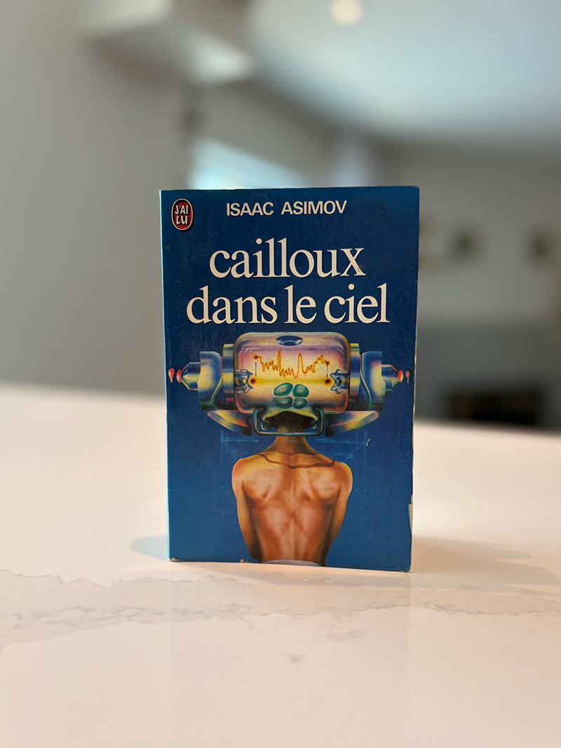 Page couverture du livre Cailloux dans le ciel