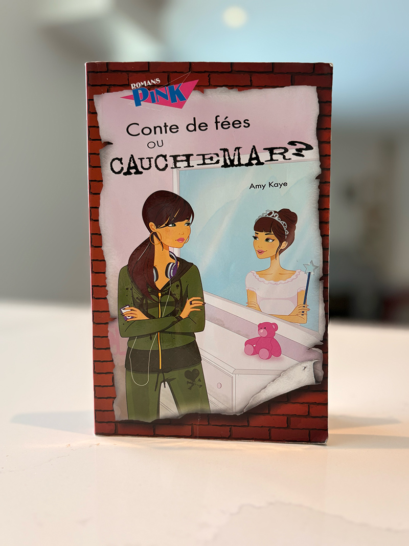 Page couverture du livre Conte de fées ou cauchemar