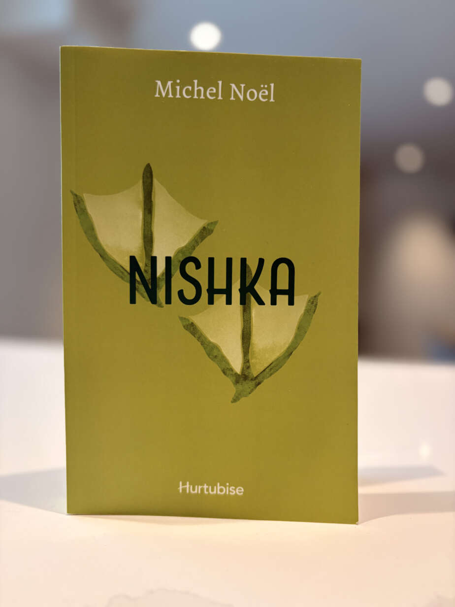 Page couverture du livre Nishka
