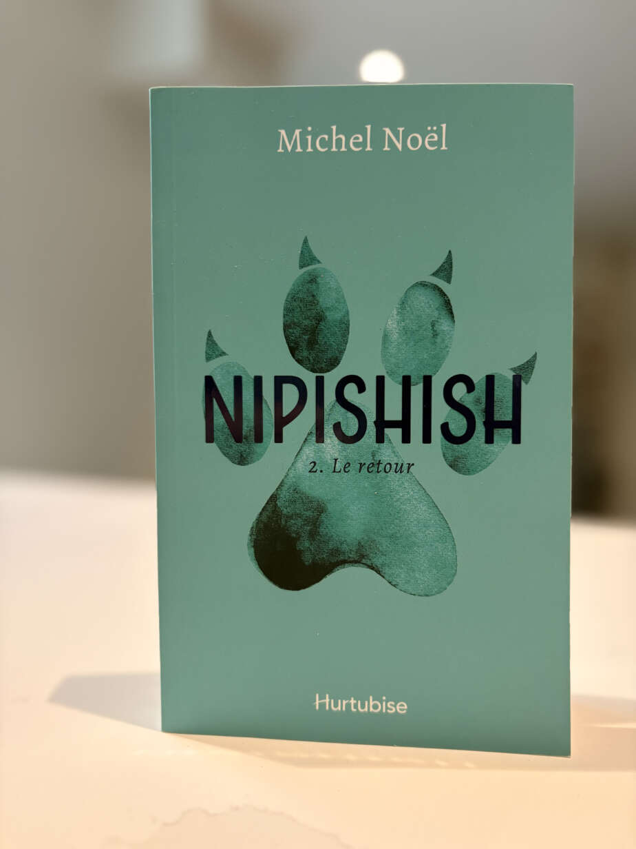 Page couverture du livre Le retour