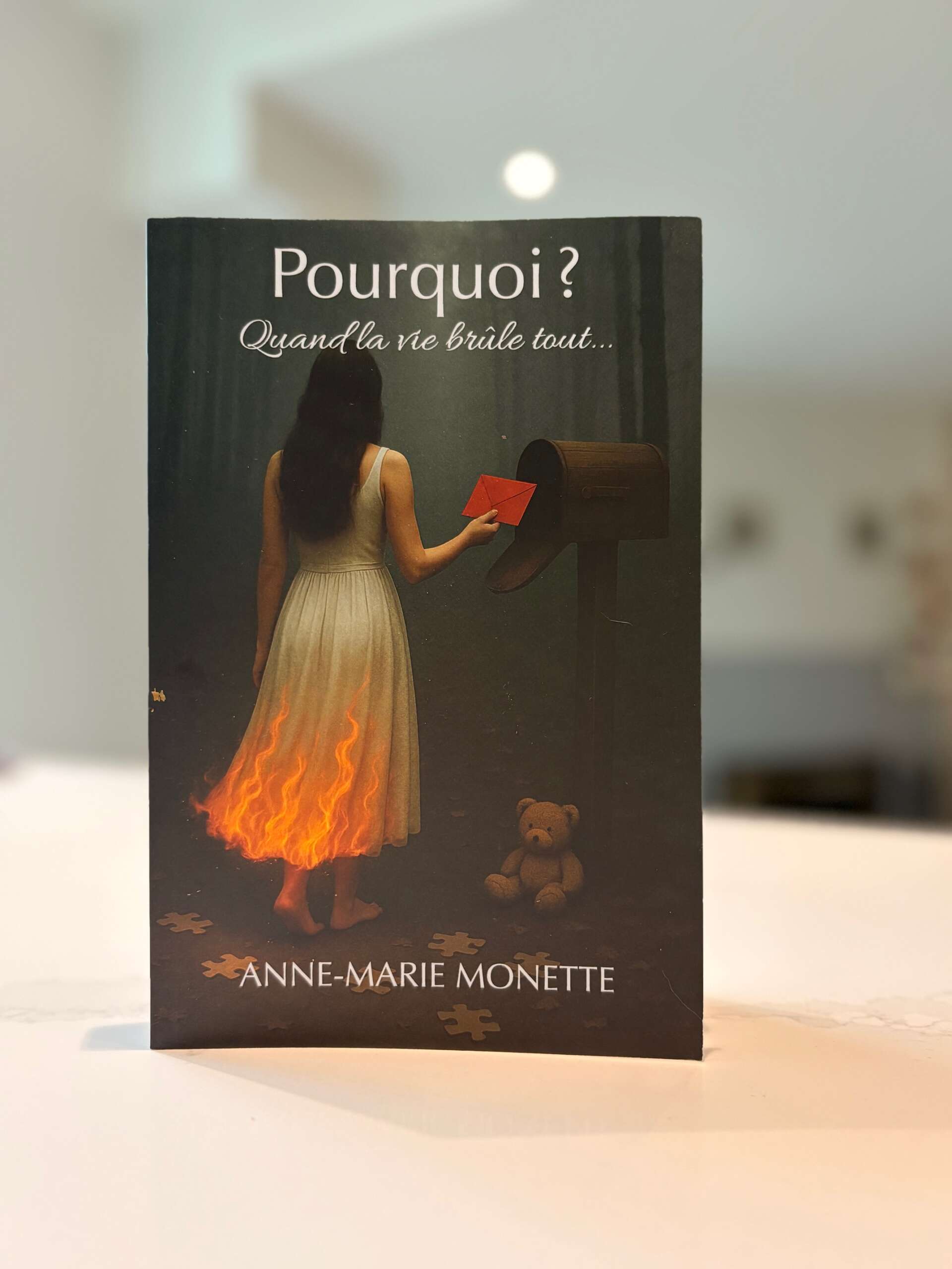 Photo de couverture du livre Pourquoi? Quand la vie brûle tout...